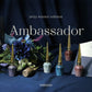 AMBASSADOR COLLECTION 6 gels